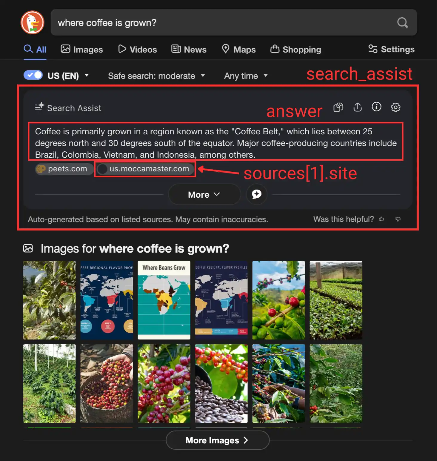 Search Assist overview