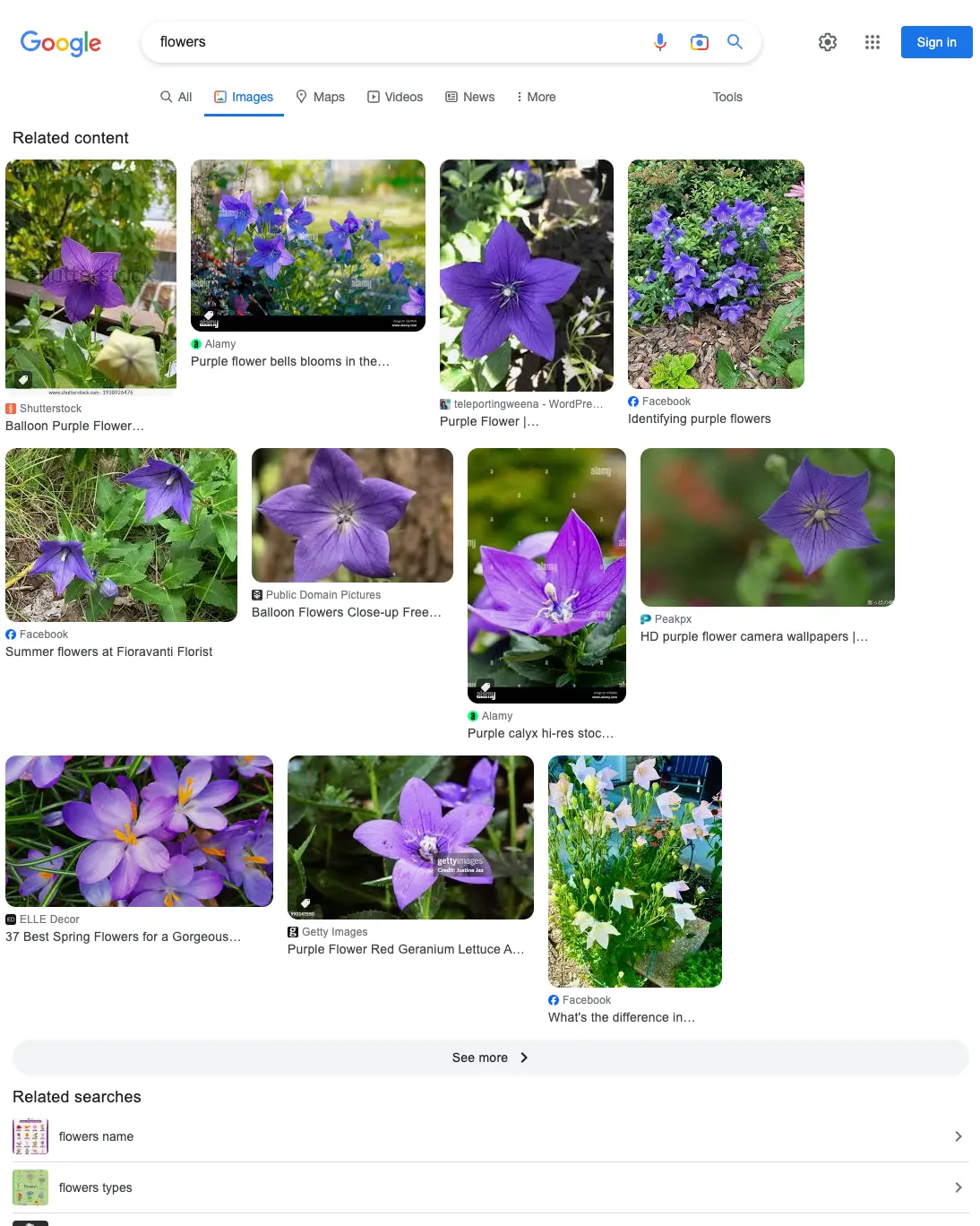 Results for: `flowers`
