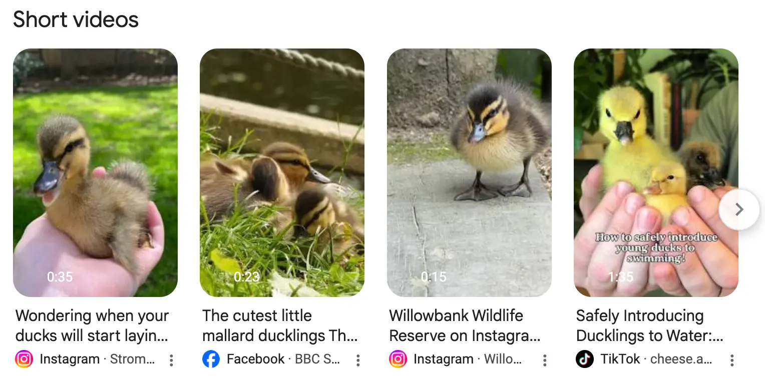 Example with short_videos
