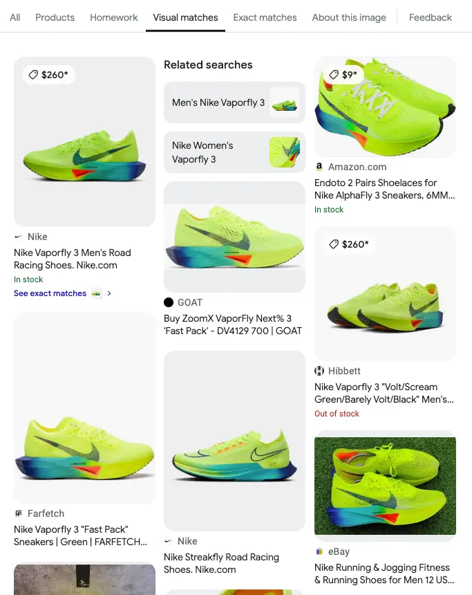 Example with Nike Vaporfly 3, type: visual_matches