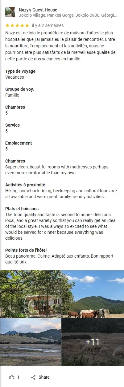 Translated snippet and details example