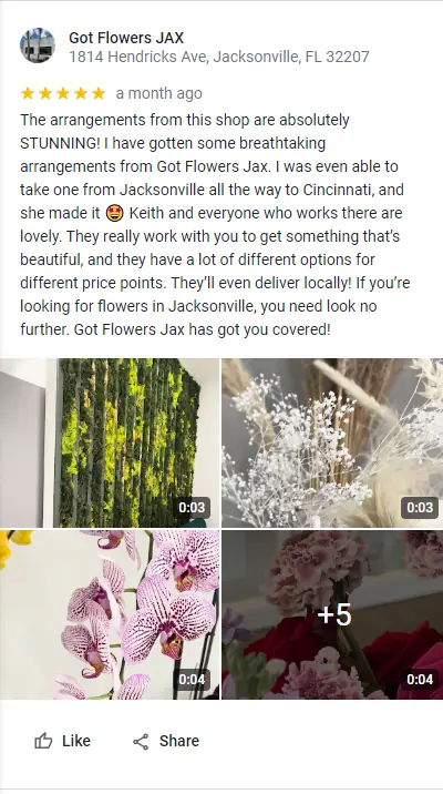Images with videos and snippets example