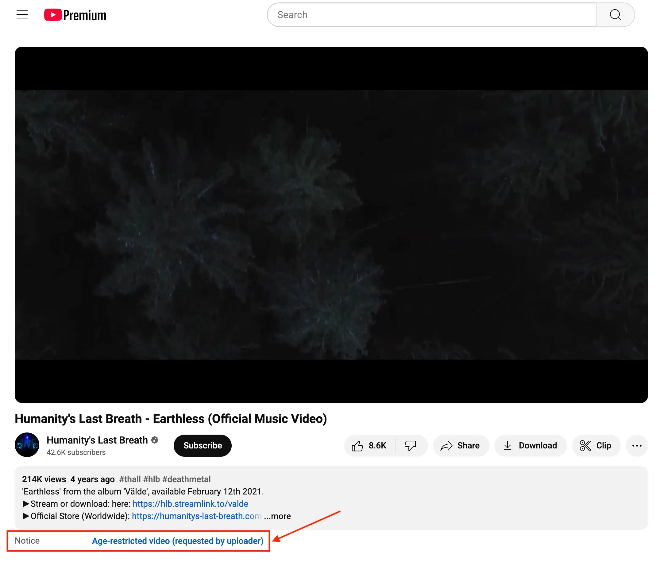 Video with additional info block (age restriction notice)